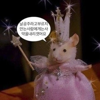 곤듀햄찌