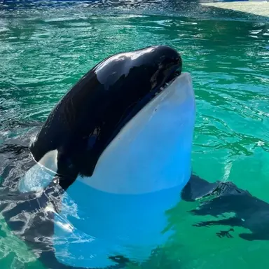 Profile image of 범이