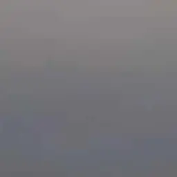 Profile image of 한지성