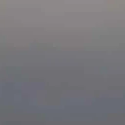 한지성