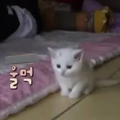Profile image of 오니니