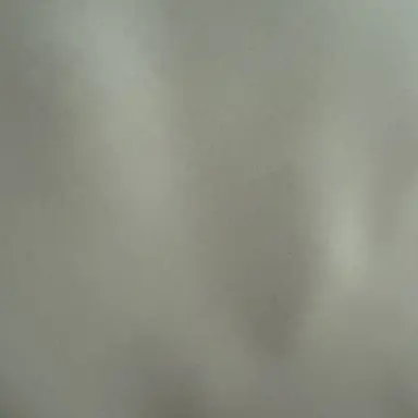 Profile image of 이예은