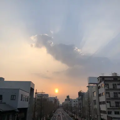 Profile image of ナチス