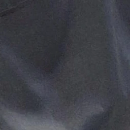 나일승
