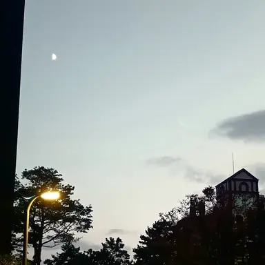 Profile image of 정승현