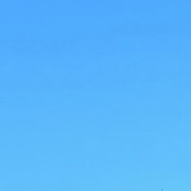컨휴