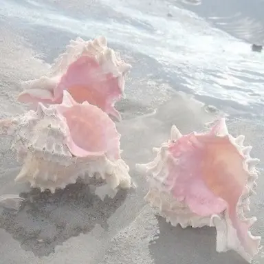 Profile image of 밥풀