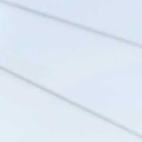 박원빈
