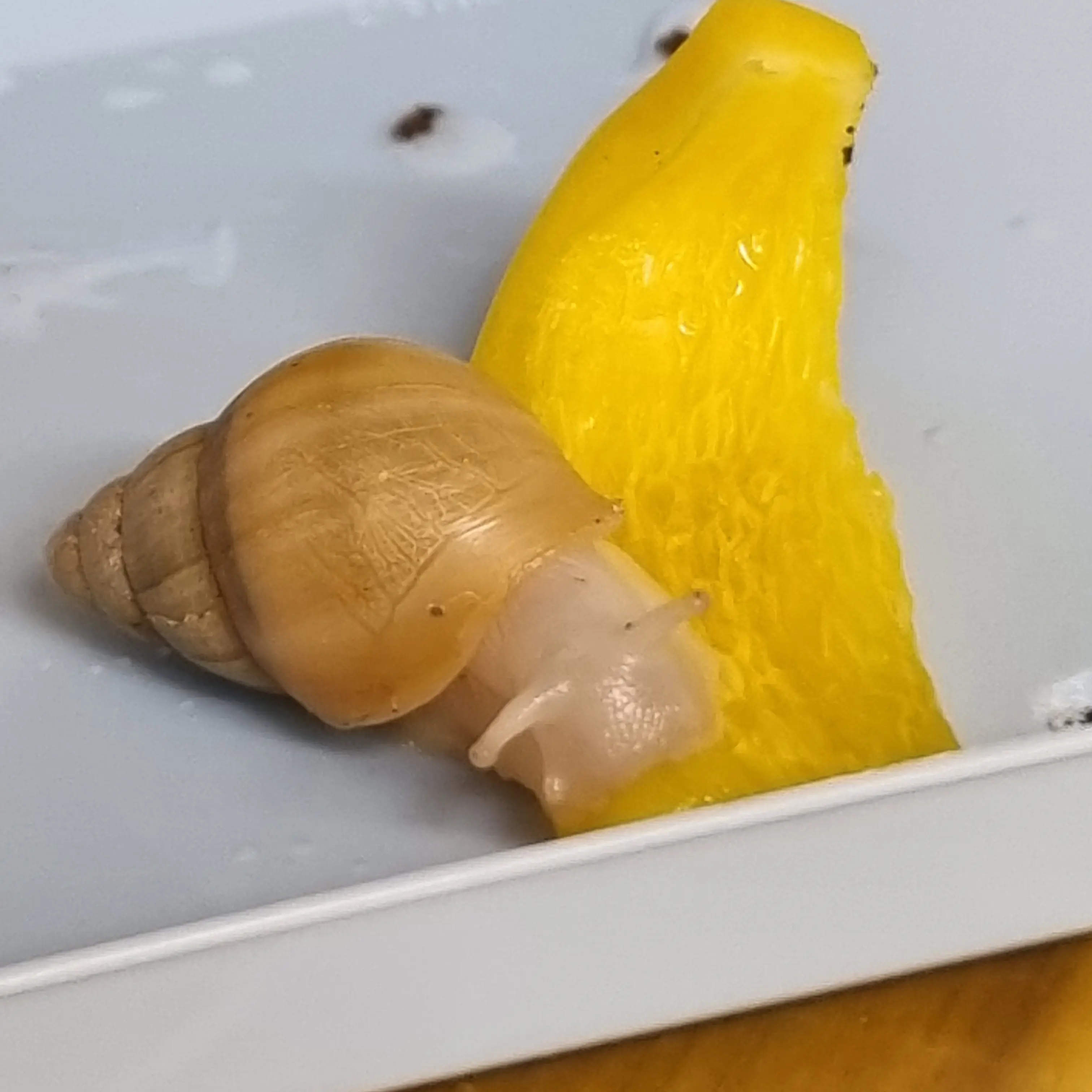 AptCoin8023의 루크입니돠아