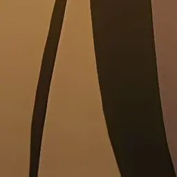 Profile image of 禪院真希