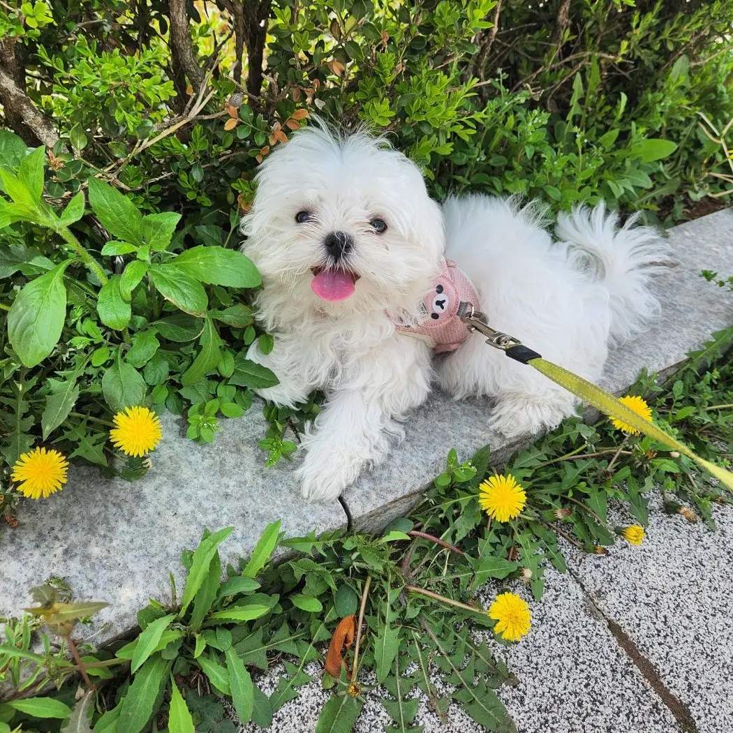 DeepTape0628의 1000명 감사합니다~!