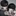 백은호,백서호