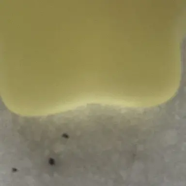 Profile image of 각별