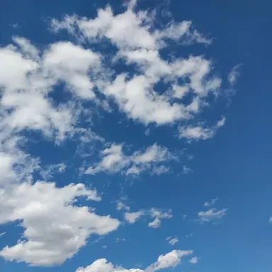 Profile image of 중국과 러시아 독일