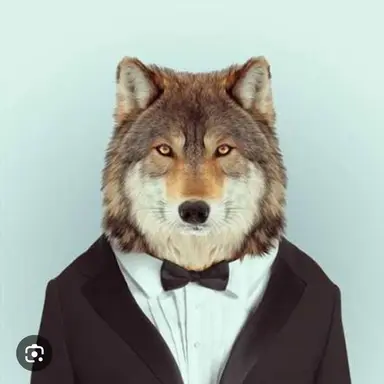 Profile image of ヌクデ