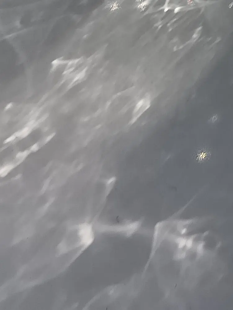 352의 ネッ友に会いたい…