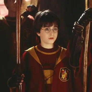 Profile image of Harry Potter