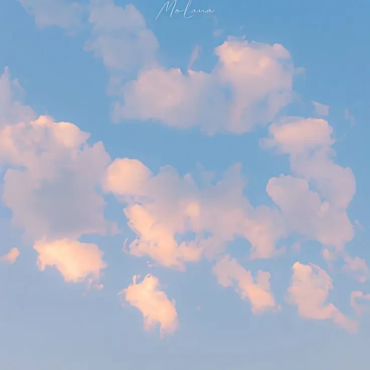 없엉