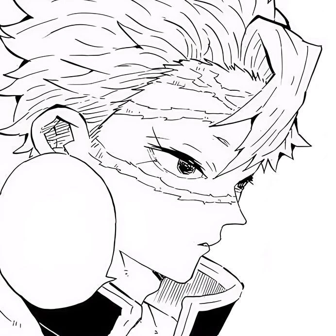 시나즈가와 사네미