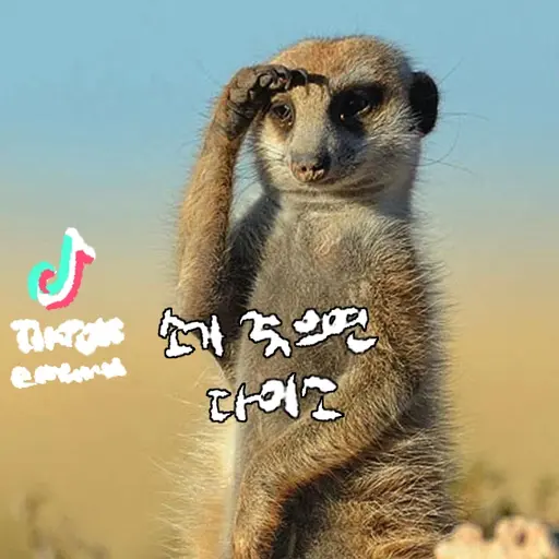 Amelzingmankimbookdong의 다이고 소이치