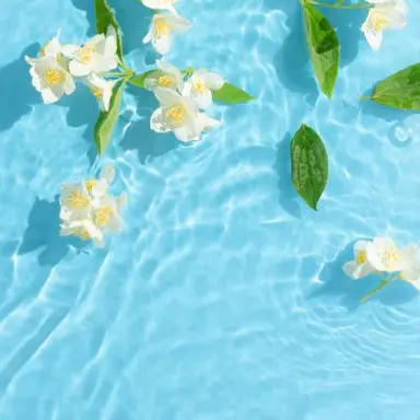 Profile image of 緋八マナ