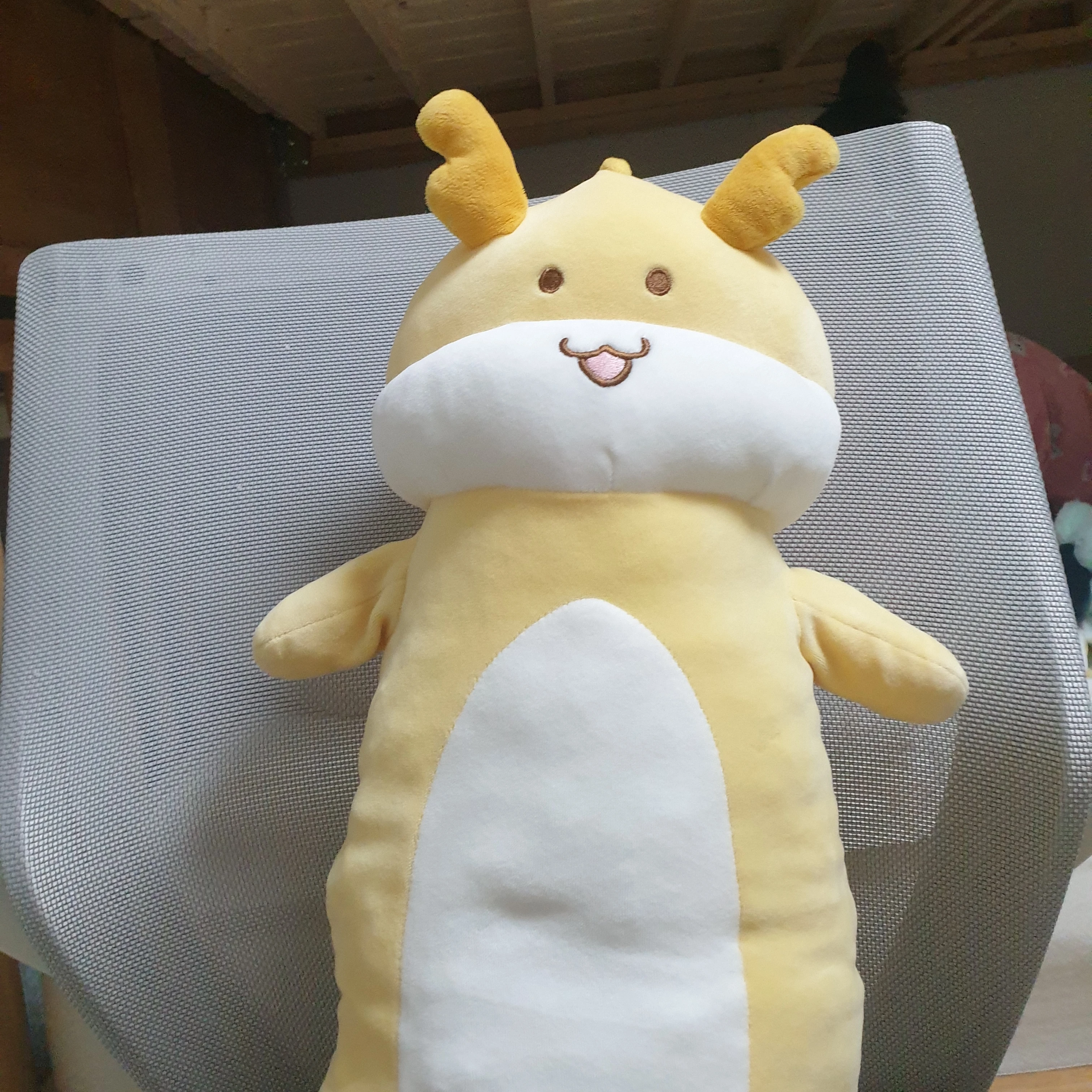 용용이