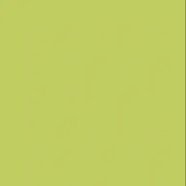 Profile image of 伊波 ライ