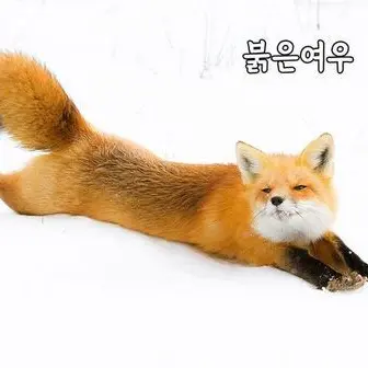 Profile image of 예림