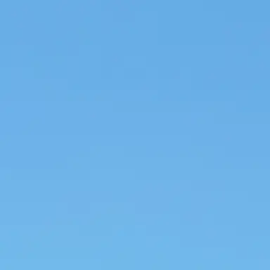 Profile image of 이선생