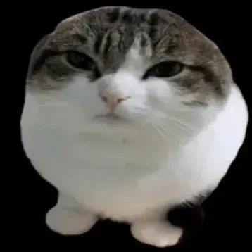 Profile image of 달걀냥