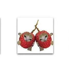 Profile image of 커플냥