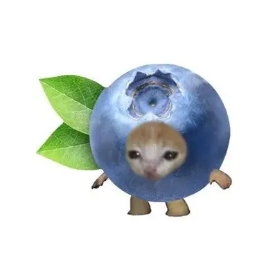 Profile image of 블루베리냥