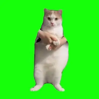 Profile image of 춤냥