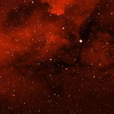 Profile image of 류민슈엔