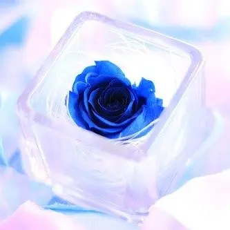 Profile image of デュース