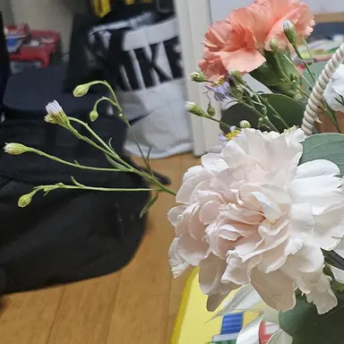 Profile image of 솔리드솔트 쿠키