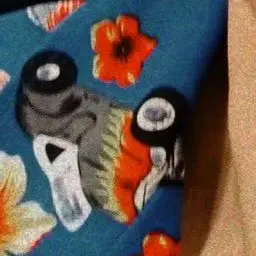 MuskyBaya3143의 有名人と！