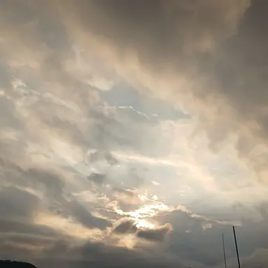 Profile image of 애비