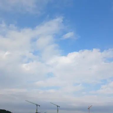 Profile image of 로맨스