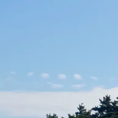 Profile image of 조이