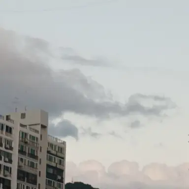 Profile image of 미라