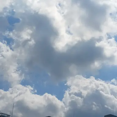 Profile image of 루미