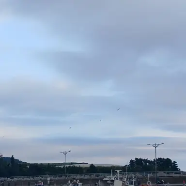 Profile image of 베이비