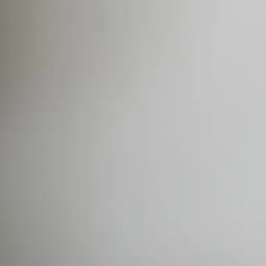 Profile image of 공룡