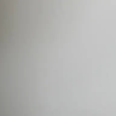 Profile image of 라더