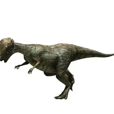 Profile image of 파키케팔로사우루스