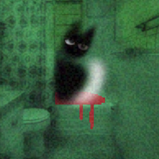 CoOl CaT 대표 이미지