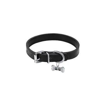 Profile image of 틸