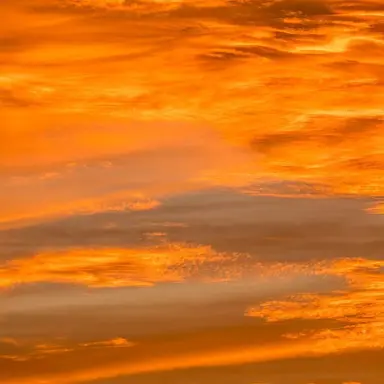 Profile image of 코마