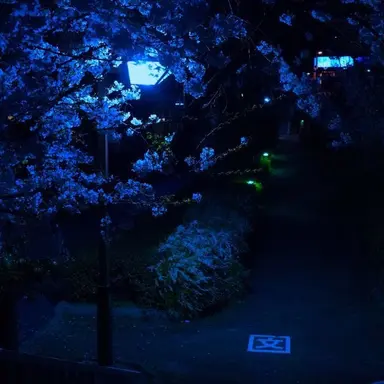 Profile image of 행크